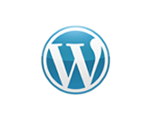 tech_wordpress